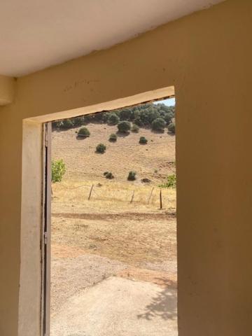 Hotel Gite Cedre Gouraud Azrou Exterior foto